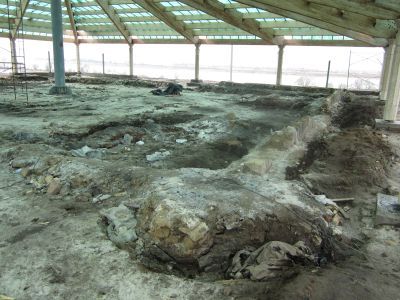 Дом с башнями  ("Дворец  ханский") (руины)