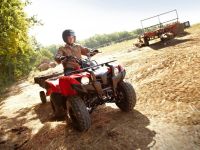 Квадроцикл YAMAHA Segway 300