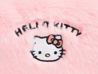 Пенал Hello Kitty для девочек, Оранжевый
