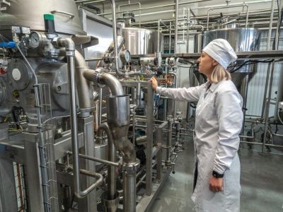 На Дальнем Востоке запустили производство греческого йогурта