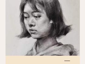 Набор угольных карандашей Dmast 10 штук ассорти в картонной упаковке