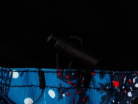 Комплект текстильный с полиуретановым покрытием для мальчиков: куртка, полукомбинезон