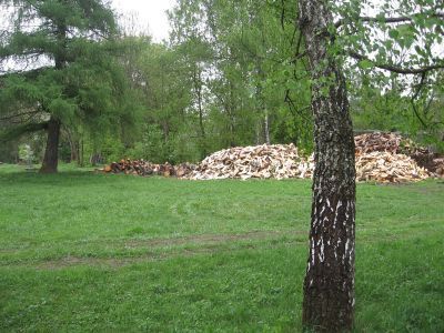 Школа, в которой в 1931-1941 гг. учился Герой Советского Союза П.А. Яковлев