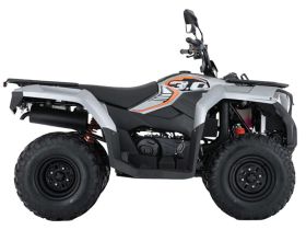 Квадроцикл LONCIN TRV350 Pro 22