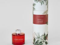 Диффузор Зимняя сказка 100 мл