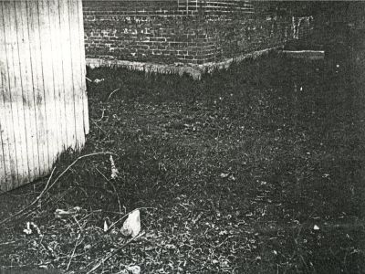 Бюст В.И. Ленина