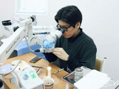 Якутские офтальмологи тренируются проводить операции на свиных глазах