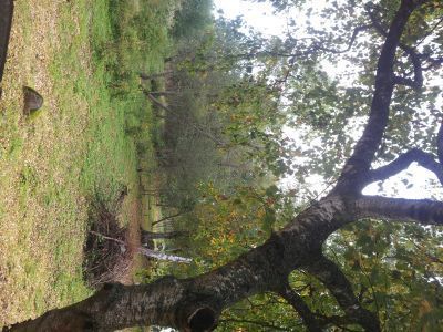 Школа, выстроенная на средства выдающегося русского  ученого астронома С.П. Глазенапа. Есть мемориальная доска