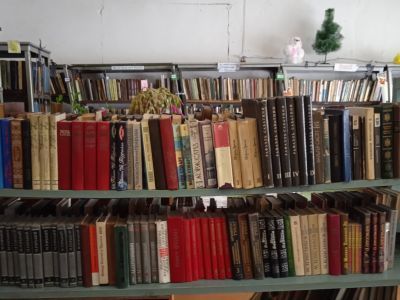 Осиновская сельская библиотека