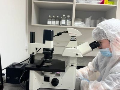 В лаборатории СВФУ попытаются клонировать корову якутской породы