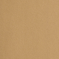 Бумага для пастели Hahnemuhle "Velour" 50x70 см, 1л, 260 г цвет песочный
