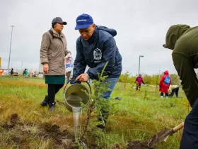 Саженцы ели и берёзы посадили в Парке Победы Якутска