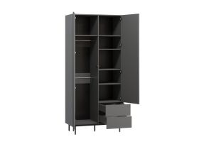 Распашной шкаф Изи 2-100x220 Графитовый