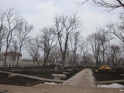 Терновое кладбище