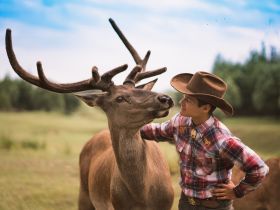 День на Диком западе