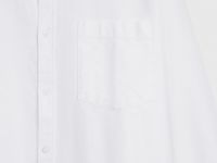 Рубашка из ткани оксфорд, Белый