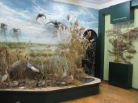 Ейский районный краеведческий музей