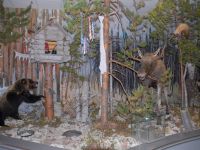 Эколого-этнографический музей г. Радужного