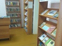 Вишневская библиотека