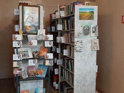 Удельнинская городская библиотека № 2