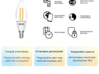 Smart Home Filament FIL DIM CCT СF35 E14 Transparent