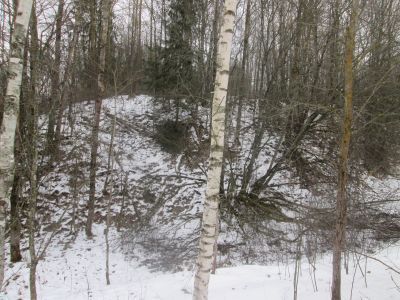 Родина Героя Советского Союза М.А. Егорова, водрузившего Знамя Победы над Берлином