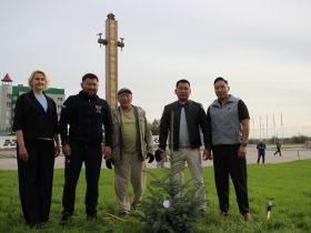 В Якутске на площади Победы высадили 33 ели