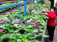 Парк культуры и отдыха имени 300-летия Кубанского казачьего войска