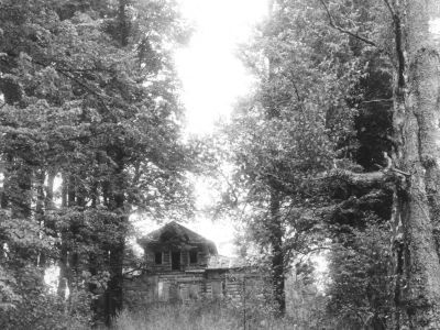 Усадьба Куломзиных (Виц) "Бохино"