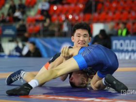 Определены финалисты всероссийского турнира по вольной борьбе Александра Крылова