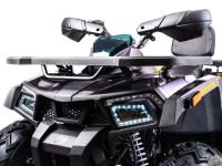 Квадроцикл MOTOLAND 200 Wild Track X Pro (2022)