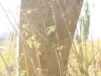 Стела надмогильная