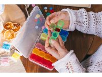 Контейнер для хранения nuance. 7 конт по 4 отд 17,5*10,5*2,5 см