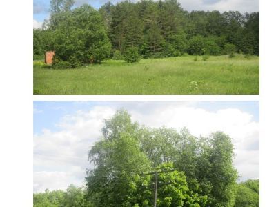 Усадьба И.П. Дараган на озере Ореховском