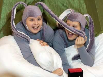 Билеты на Мохнатое Рождество (Дом музыки) / Театр | Афиша | ИнфоТаймс