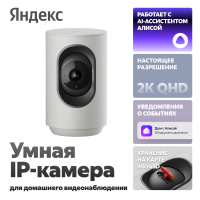 Камера IP Яндекс