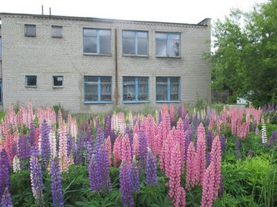 Ломовская сельская библиотека