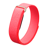 Фитнес-браслет Google Fitbit Air (Berry)