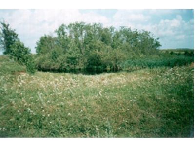 Священная роща