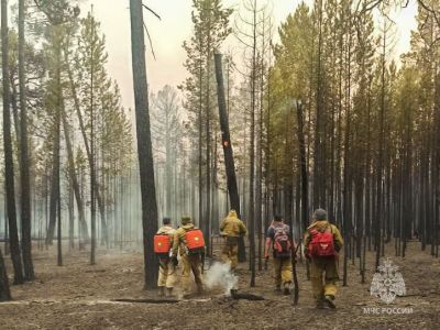 В двух районах Якутии зафиксированы лесные пожары