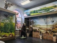 Краеведческий музей г. Киселевска