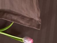 Постельное белье Корица/Cinnamon