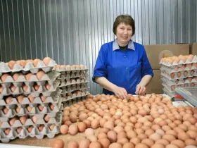 Более 109 млн яиц произвели в Якутии за девять месяцев