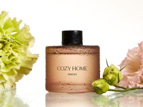 Диффузор Пион 50 мл