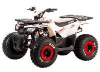 Квадроцикл MOTOLAND 125 Wild