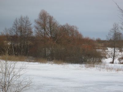 Памятное место, где во второй половине XIX в. жил и работал известный ученый-животновод Д.А.Путято
