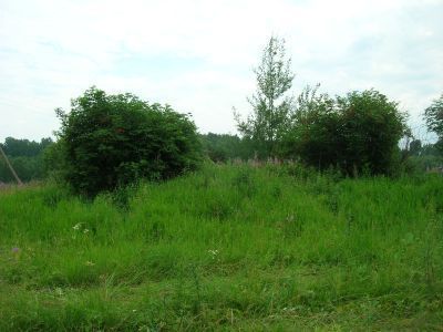 Духовская церковь