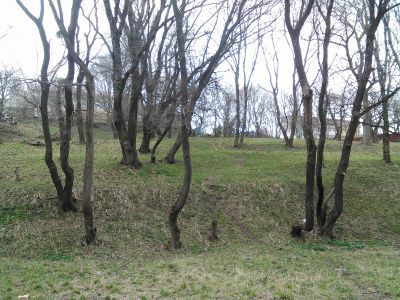 Комплексная историко-культурная и природно-заповедная территория "Павлова дача"