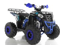 Квадроцикл WELS Thunder EVO