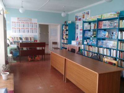 Новоелюзанская сельская библиотека